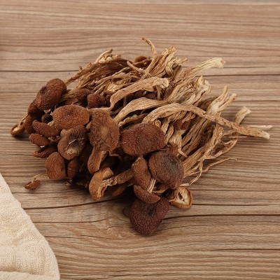 江西不开伞茶树菇干货批发 新鲜农家干菇批发香菇菌菇 散装批发图2