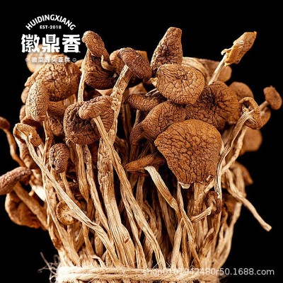 茶树菇干货菌菇新货茶树菌新鲜非野生脆嫩无硫煲汤食材厂家批发图3