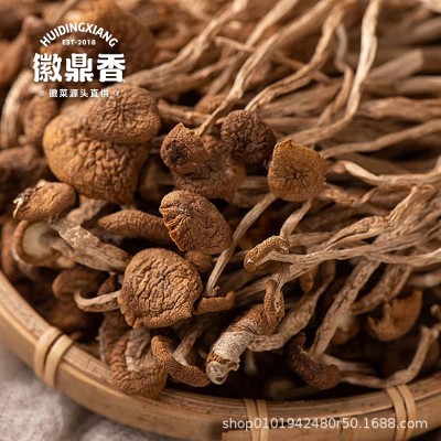 茶树菇干货菌菇新货茶树菌新鲜非野生脆嫩无硫煲汤食材厂家批发图2