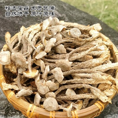 鹿茸菇干货菌菇新货鹿茸菌干香菇新鲜非野生脆嫩无硫煲汤食材批发图2