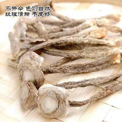 鹿茸菇干货菌菇新货鹿茸菌干香菇新鲜非野生脆嫩无硫煲汤食材批发图3