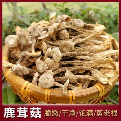 鹿茸菇干货菌菇新货鹿茸菌干香菇新鲜非野生脆嫩无硫煲汤食材批发图1