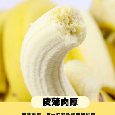香蕉南现砍现发整箱批发5/10斤不打药自然熟亚马逊一件批发跨境图2