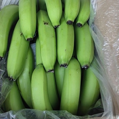 香蕉南现砍现发整箱批发5/10斤不打药自然熟亚马逊一件批发跨境图4
