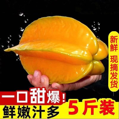 降火水果清火水果甜杨桃新鲜杨桃水果新鲜黄金杨桃应季水果批发图2