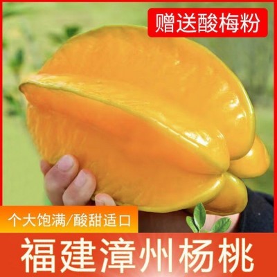降火水果清火水果甜杨桃新鲜杨桃水果新鲜黄金杨桃应季水果批发图3