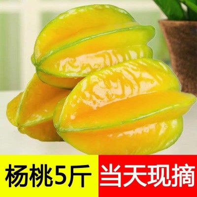降火水果清火水果甜杨桃新鲜杨桃水果新鲜黄金杨桃应季水果批发图4