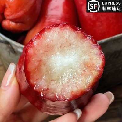 顺丰包邮海南黑金刚莲雾果当季新鲜莲雾大果孕妇水果一整箱独立站图4
