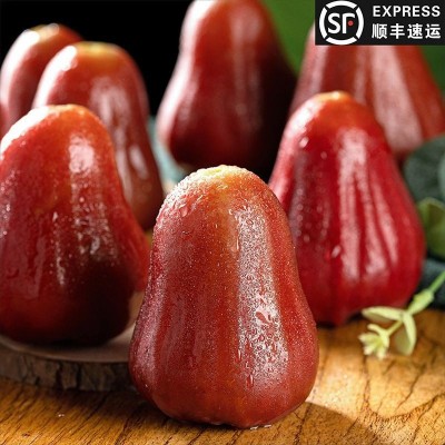 顺丰包邮海南黑金刚莲雾果当季新鲜莲雾大果孕妇水果一整箱独立站图3