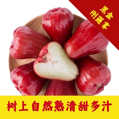 海南莲雾5斤新鲜水果热带黑金刚莲雾果孕妇水果仙女果包邮1斤批发图2