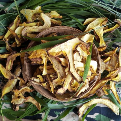 云南特产野生菌牛肝菌干货批发白葱红葱水白葱黄牛肝菌产地直发图4