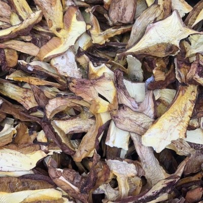 云南特产野生菌牛肝菌干货批发白葱红葱水白葱黄牛肝菌产地直发图5