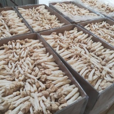 竹荪干货精选无硫竹荪煲汤云南特产源头竹荪蛋批发散装一件代发图4