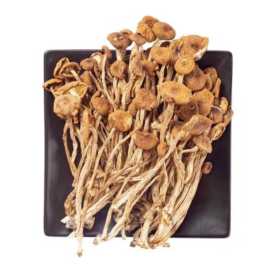 批发当季新货干茶树菇200g/500g煲汤火锅无硫熏茶树菇支持图3