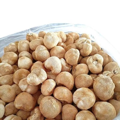 批发猴头菇干货食用菌袋装散装200g/500g新鲜无硫养胃图3