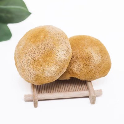 批发猴头菇干货食用菌袋装散装200g/500g新鲜无硫养胃图5