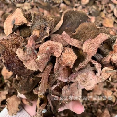 纯野生牛肝菌干货红乳牛肝菌云南土特产松蘑红粘团子现货批发包邮图4