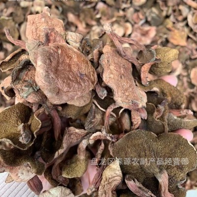 纯野生牛肝菌干货红乳牛肝菌云南土特产松蘑红粘团子现货批发包邮图3