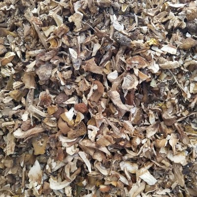 黄牛肝菌 美味牛肝菌 熬汤牛肝菌火锅底料调汤菌批发图4
