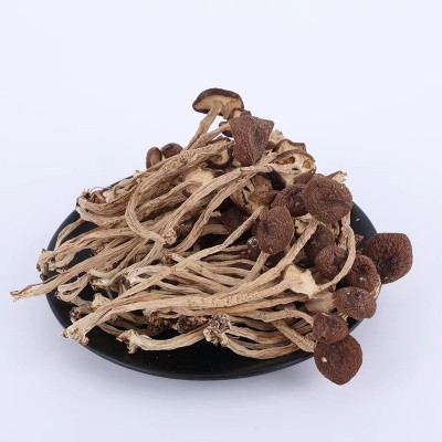 茶树菇干货批发炖汤新货新鲜无硫不开伞煲汤炖汤红烧即食图2