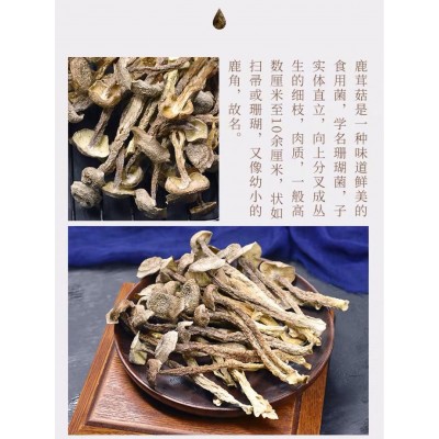 鹿茸菇干货鹿茸菌500g包邮散装古田县菌蘑菇煲汤食用菌香菇干货图4