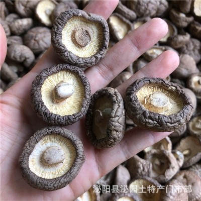 新货西峡香菇干货500g饭店餐饮散装批发无根冬菇黄焖鸡花菇香菇干图3