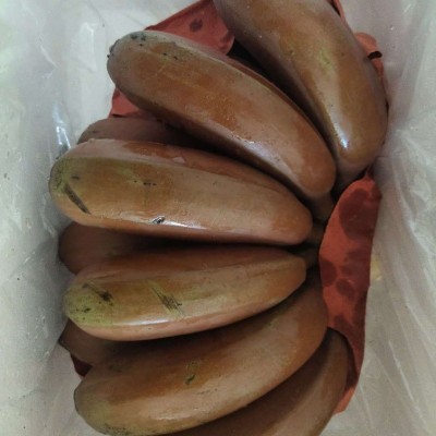 香蕉 新鲜香蕉红皮广西糯甜蕉现摘自然熟当季水5斤斤1斤非米蕉图2