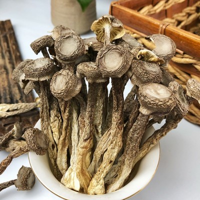 鹿茸菇干货250g鹿茸菌新鲜菌鹿茸菇菌菇干蘑菇一件代发图2