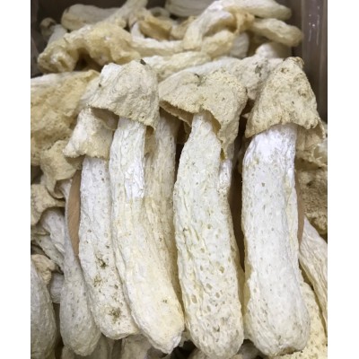 批发 古田竹荪干货煲汤料一件代发竹参长裙竹荪菌菇图3