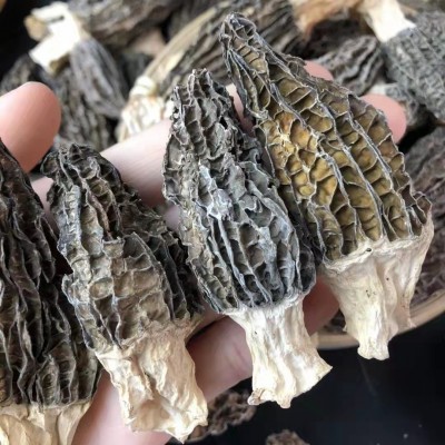 厚肉中大干羊肚菌干货批发蘑菇散装250克云南精选菇菌煲汤料批发图3