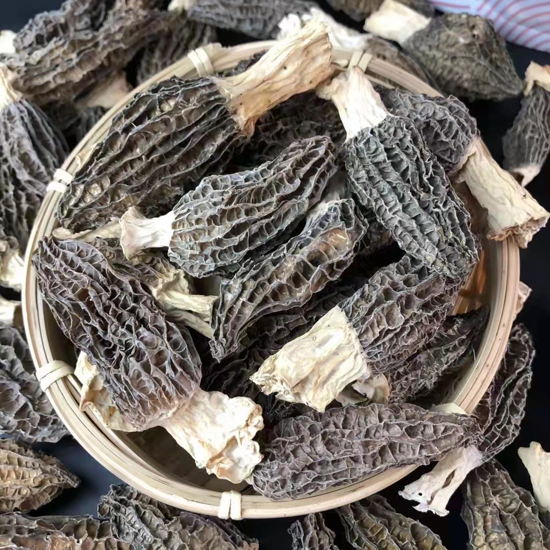 微信图片_20220413170706.jpg