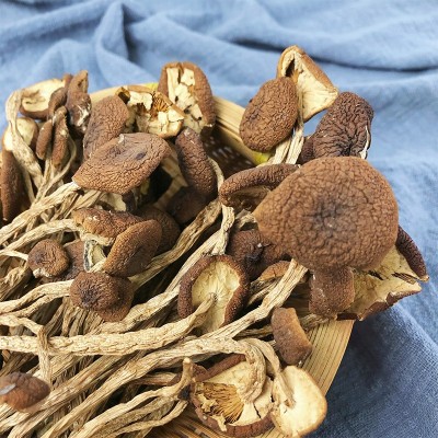 不开伞茶树菇干货批发 茶树菇250g菌菇干货批发 一件代发图3