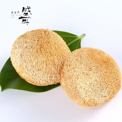 盛耳猴头菇68g/罐干货新猴菇猴头候头菌新鲜猴菇食用非喉头菇纯粉图2