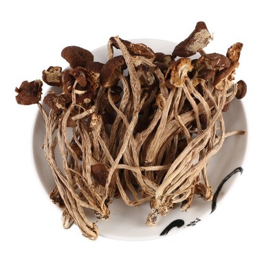 地摊货源干货茶树菇 不开伞茶树菇 农家食用产品袋装茶树菇干批发图5