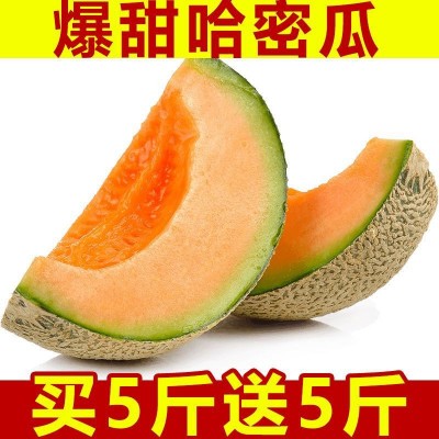 爆甜新疆哈密瓜10斤应季新鲜水果批发网纹瓜非海南蜜瓜一箱1/5斤图2