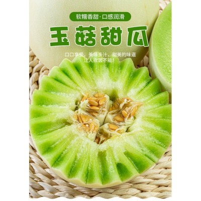 玉菇甜瓜南汇山东姑蜜瓜当季新鲜水果整箱香瓜3/5/10斤速卖通代发图3