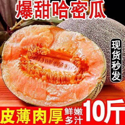 哈密瓜批发甜蜜多汁孕妇新鲜水果玫珑瓜西州甘肃蜜瓜网纹瓜批发价图2