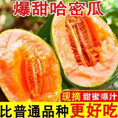 哈密瓜批发甜蜜多汁孕妇新鲜水果玫珑瓜西州甘肃蜜瓜网纹瓜批发价图4