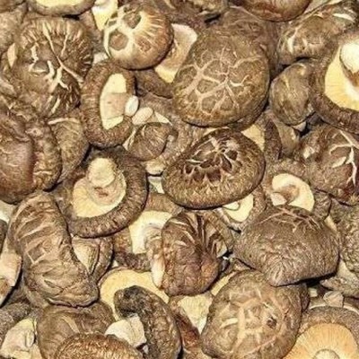 干香菇 食用菌 香菇 香菇干 一件代发图4