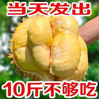 榴莲金枕头新鲜应季水果一整个巴掌5-10斤批发价非猫山王厂家直销图2