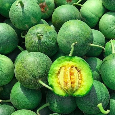 羊角蜜绿宝甜瓜5斤水果新鲜香瓜当季瓜薄脆瓜绿宝石批发1个包邮图4