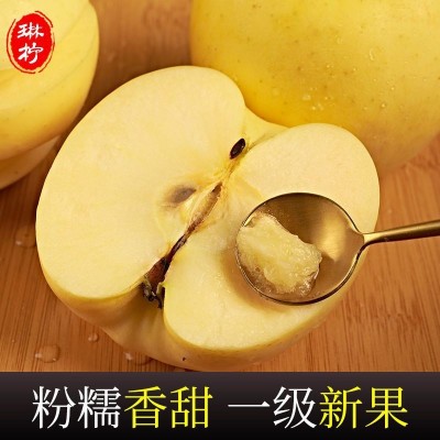 黄元帅苹果黄香蕉粉苹果面苹果黄金帅老人婴儿刮泥苹果水果金冠厂图4