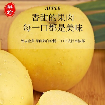 黄元帅苹果黄香蕉粉苹果面苹果黄金帅老人婴儿刮泥苹果水果金冠厂图3