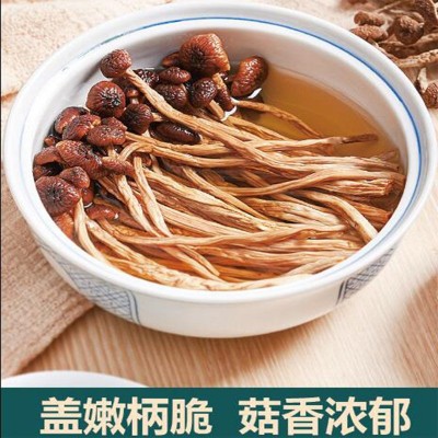 干货无熏硫福建特产新鲜茶树菇非净重散装食用菌干货菜类批发图2