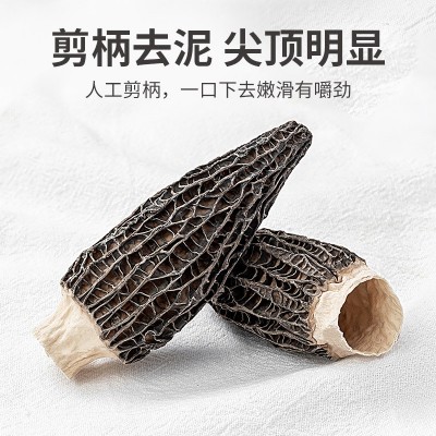 方家铺子福建发货羊肚菌50g罐装山珍菌菇干货煲汤火锅食材图2