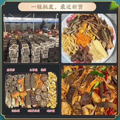 煲汤料六珍菌汤包云南特产炖鸡汤礼盒羊肚菌八珍菌七彩菌汤包菌菇图3