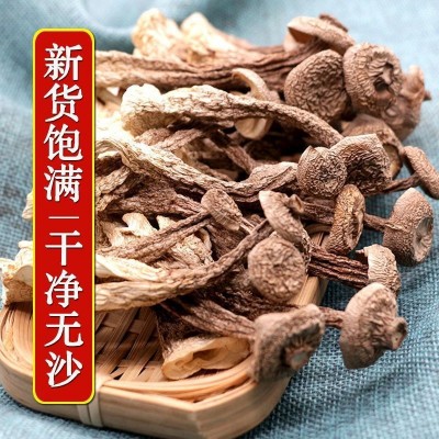 茶树菇干货鹿茸菇鹿茸菌鹿耳菇批发蘑菇家特产蛹虫煲汤炒菜毛重厂图3