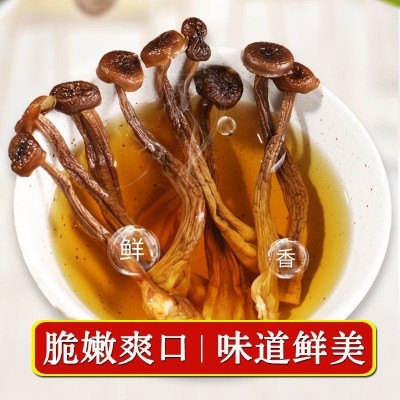 茶树菇干货鹿茸菇鹿茸菌鹿耳菇批发蘑菇家特产蛹虫煲汤炒菜毛重厂图5