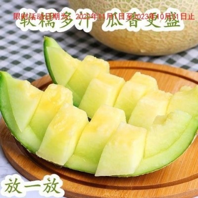 海南玫珑瓜 网纹蜜瓜 哈密瓜当季新鲜水果冰淇淋哈密瓜 顺丰图3