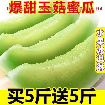 玉菇蜜瓜10斤新鲜水果批发当季海南玉茹甜瓜哈脆香瓜密瓜2/5斤图1